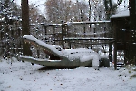 Nikolaus-OL 2023_27